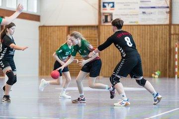 Bild 233 - wDJ HSG Kremperheide/Muensterdorf - TSV SR Schuelp : Ergebnis: 26:5